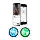 FITLIGHT 2021 - Entrainement lumineux sans fil (Bluetooth)